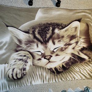 CUTE Kitten Cat Fleece Blanket 40" x 60"